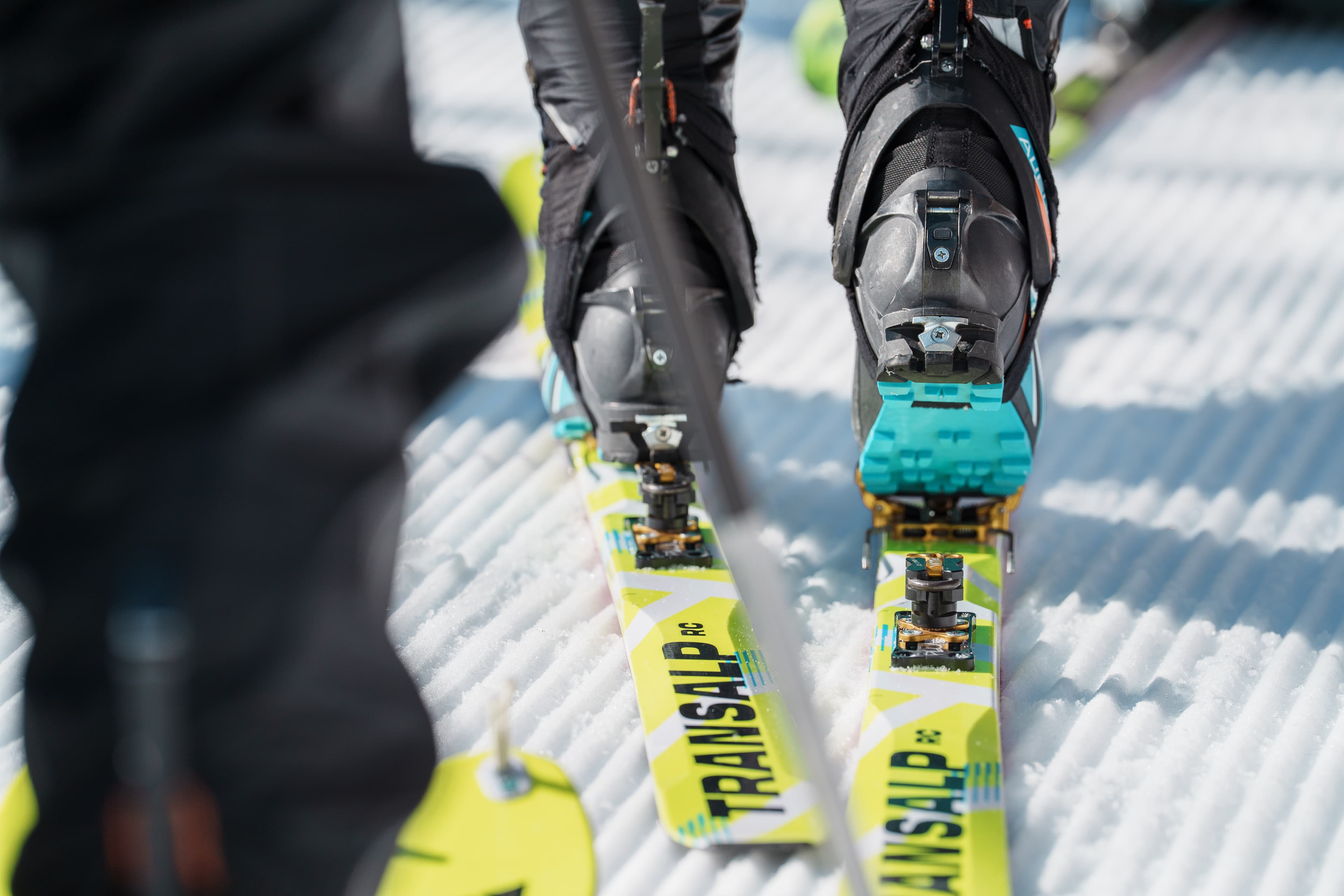 雪山でスキーモを楽しむ仲間たち