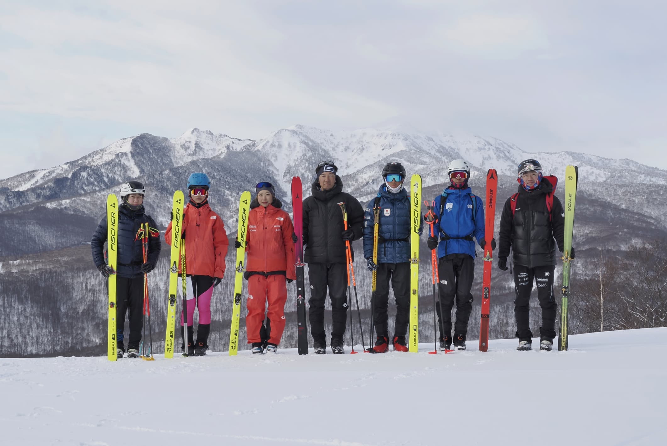スキーモの活動
