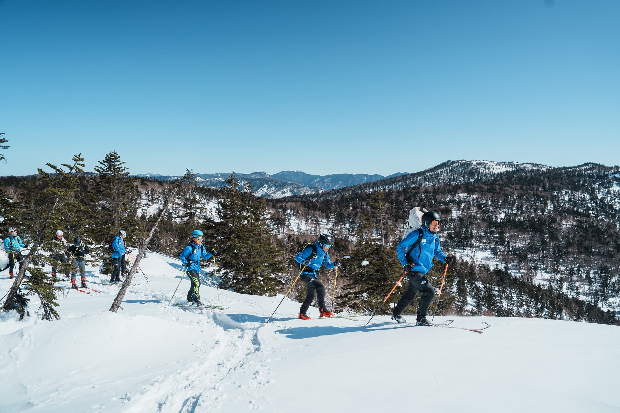 スキーモの活動