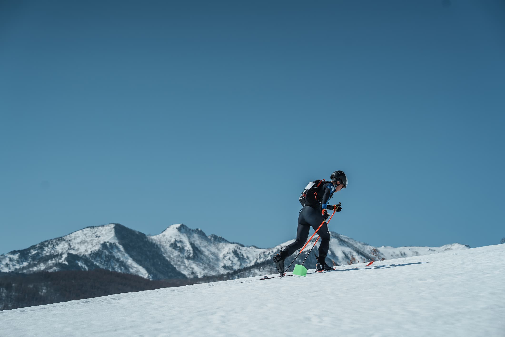 スキーモの活動